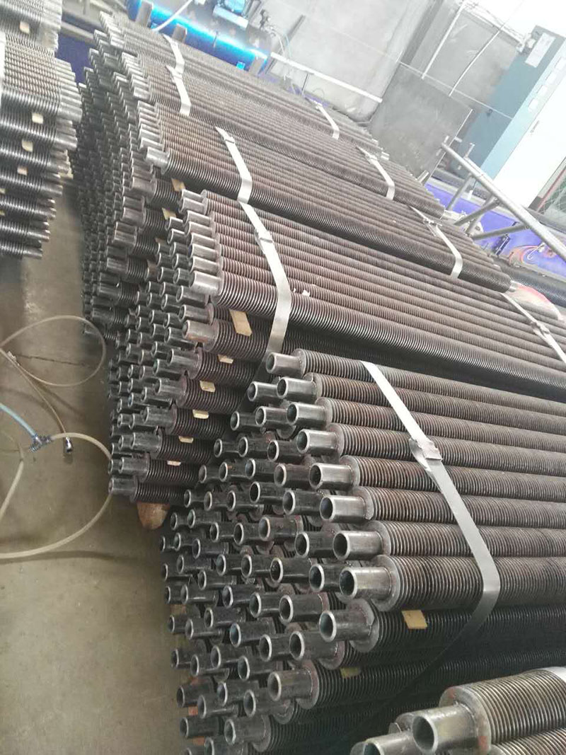 ���l����Ƭ��